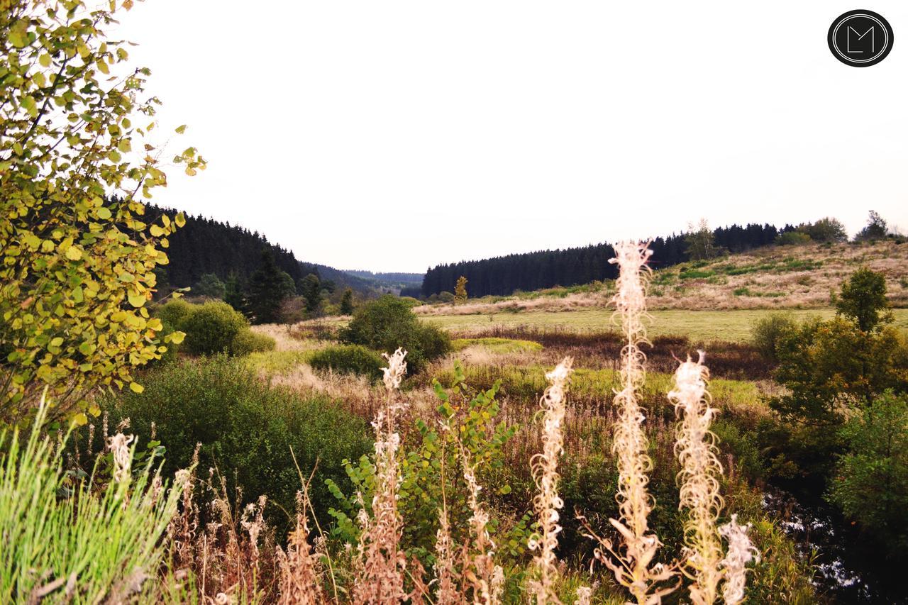 Chalet Le Forestier Büllingen Eksteriør billede
