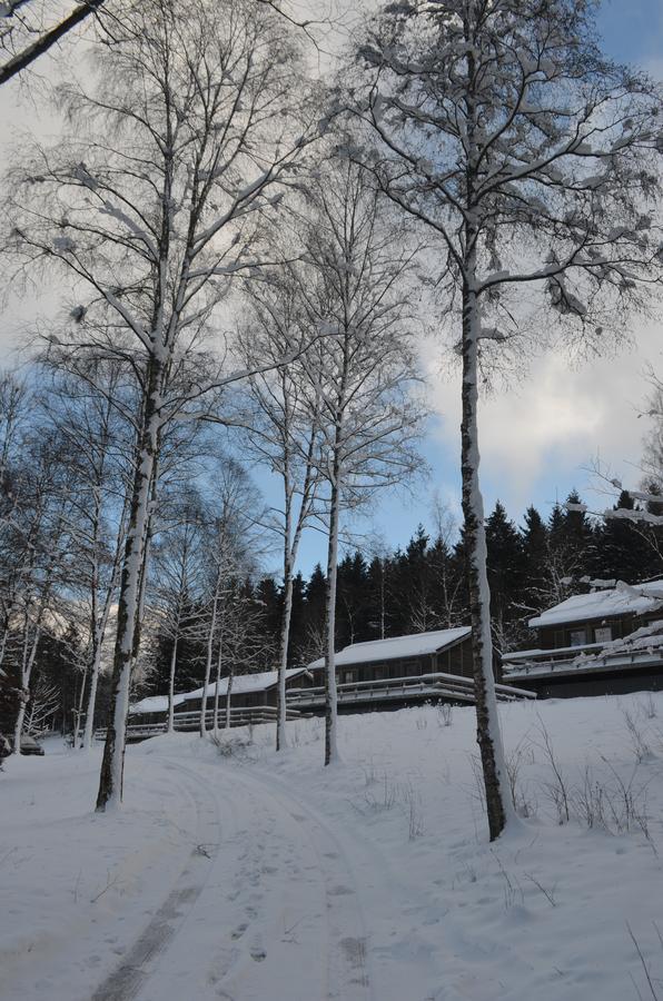 Chalet Le Forestier Büllingen Eksteriør billede