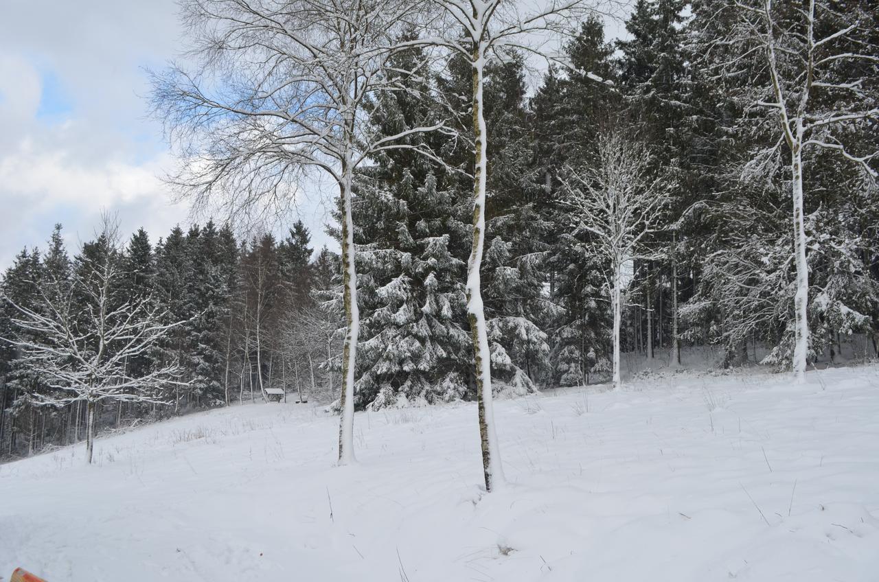 Chalet Le Forestier Büllingen Eksteriør billede