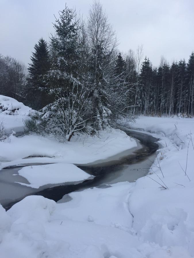 Chalet Le Forestier Büllingen Eksteriør billede