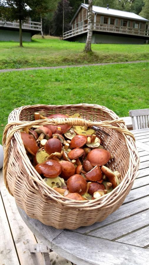 Chalet Le Forestier Büllingen Eksteriør billede