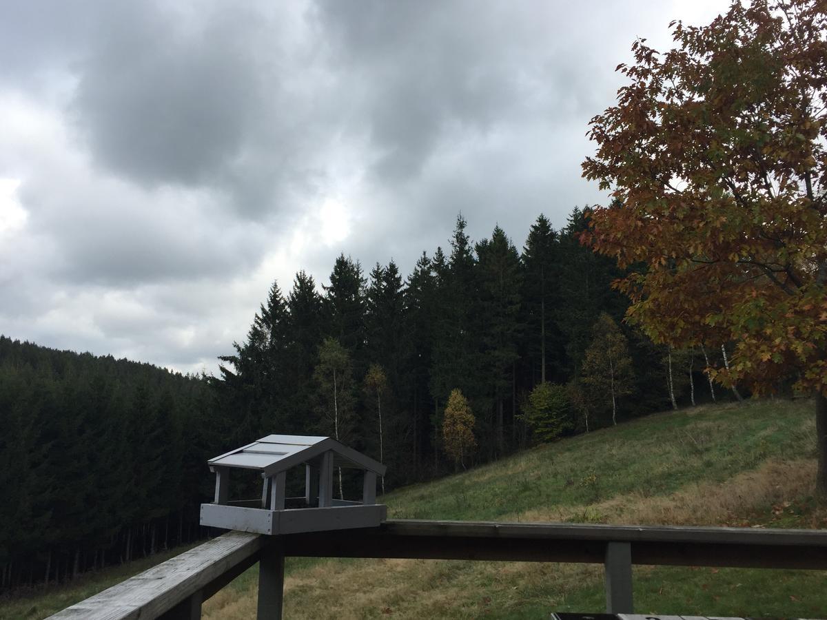Chalet Le Forestier Büllingen Eksteriør billede
