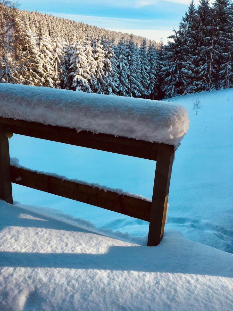 Chalet Le Forestier Büllingen Eksteriør billede