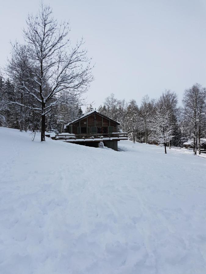 Chalet Le Forestier Büllingen Eksteriør billede
